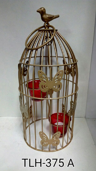 BUTTERFLY CAGE